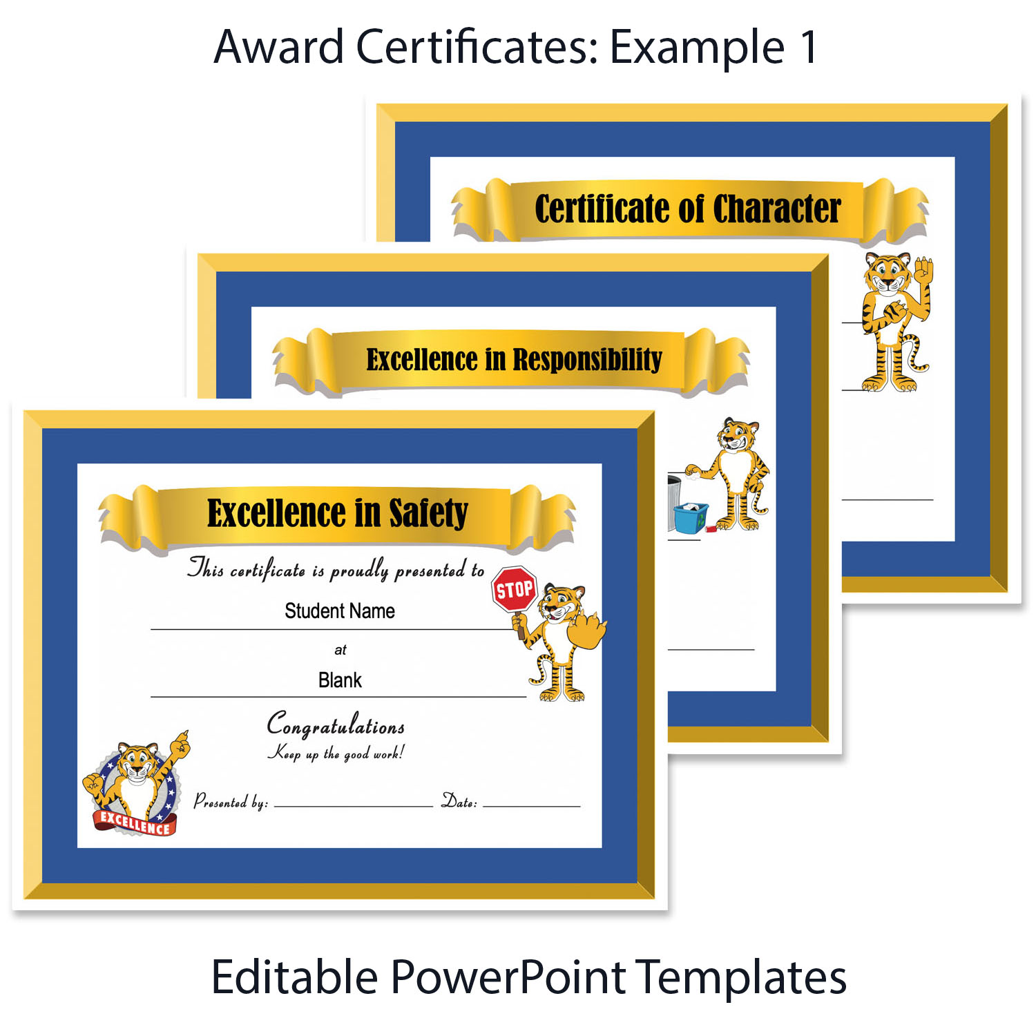 $3,300 PBIS Bundle - Image 7
