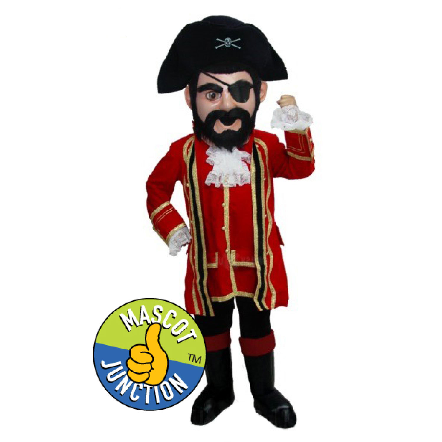 Pirate Costume Option 2