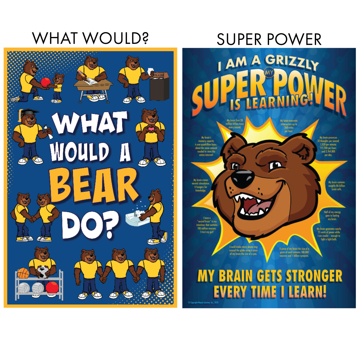SEL Poster Pack - 40 Pack - Image 9